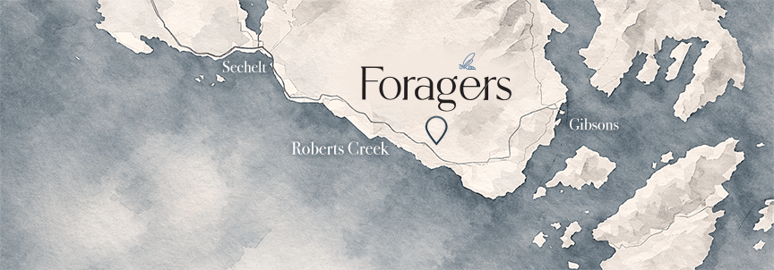 A map of Foragers on the Sunshine Coast